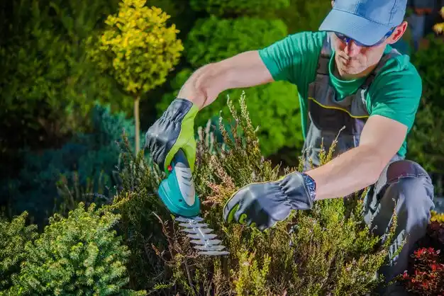 landscaping services Forest Hill